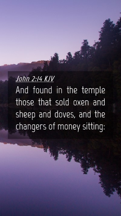 Picture 04 - John 2:14 KJV Mobile Phone Wallpaper - And found in the temple those that sold oxen and - Mobile Bible Verse Wallpaper