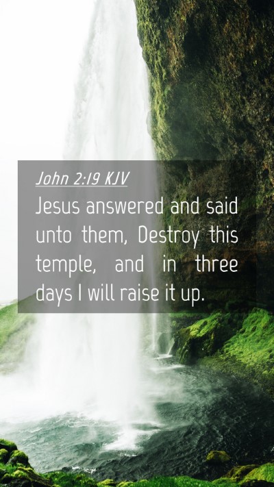 Picture 04 - John 2:19 KJV Mobile Phone Wallpaper - Jesus answered and said unto them, Destroy this - Mobile Bible Verse Wallpaper