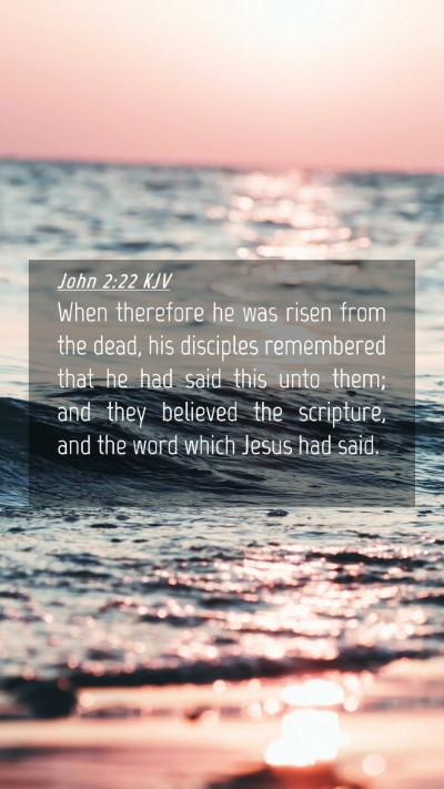 Picture 04 - John 2:22 KJV Mobile Phone Wallpaper - When therefore he was risen from the dead, his - Mobile Bible Verse Wallpaper