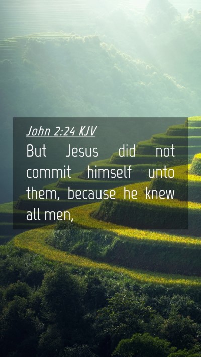 Picture 04 - John 2:24 KJV Mobile Phone Wallpaper - But Jesus did not commit himself unto them, - Mobile Bible Verse Wallpaper