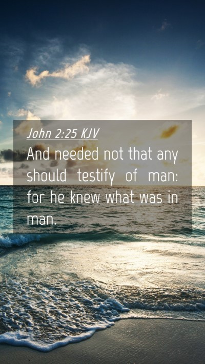 Picture 04 - John 2:25 KJV Mobile Phone Wallpaper - And needed not that any should testify of man: - Mobile Bible Verse Wallpaper