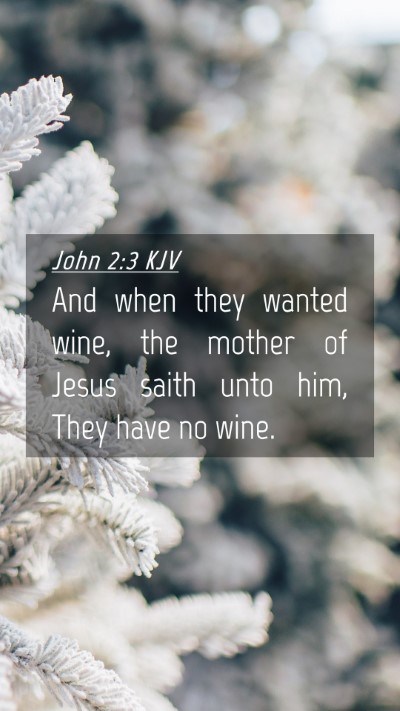 Picture 04 - John 2:3 KJV Mobile Phone Wallpaper - And when they wanted wine, the mother of Jesus - Mobile Bible Verse Wallpaper