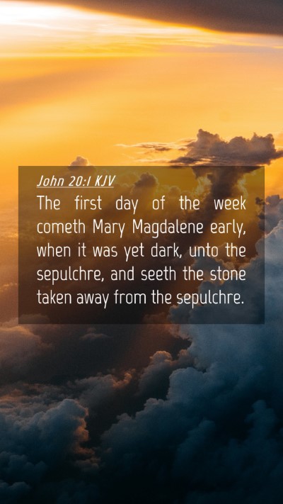 Picture 04 - John 20:1 KJV Mobile Phone Wallpaper - The first day of the week cometh Mary Magdalene - Mobile Bible Verse Wallpaper