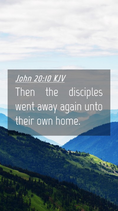 Picture 04 - John 20:10 KJV Mobile Phone Wallpaper - Then the disciples went away again unto their own - Mobile Bible Verse Wallpaper