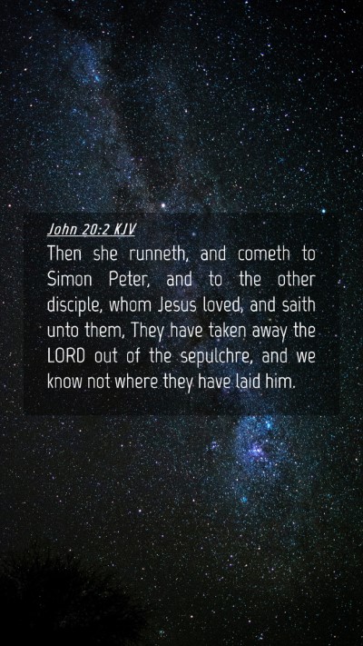 Picture 04 - John 20:2 KJV Mobile Phone Wallpaper - Then she runneth, and cometh to Simon Peter, and - Mobile Bible Verse Wallpaper