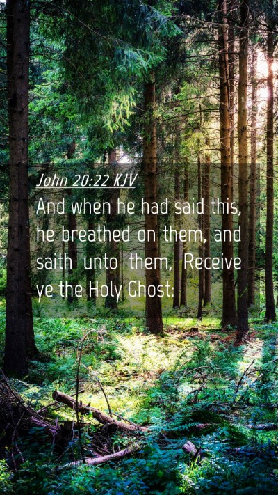 Picture 04 - John 20:22 KJV Mobile Phone Wallpaper - And when he had said this, he breathed on them, - Mobile Bible Verse Wallpaper