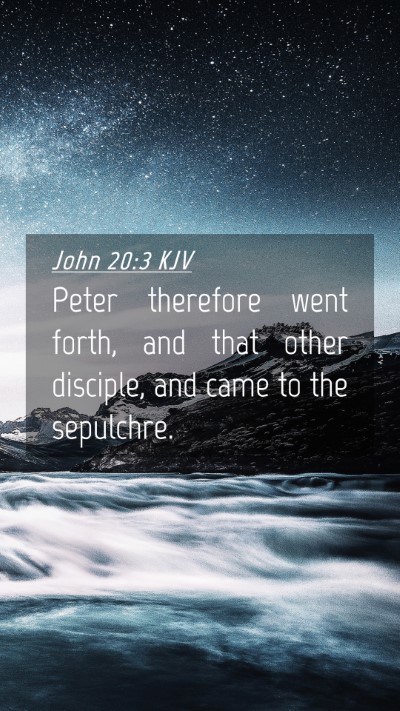 Picture 04 - John 20:3 KJV Mobile Phone Wallpaper - Peter therefore went forth, and that other - Mobile Bible Verse Wallpaper