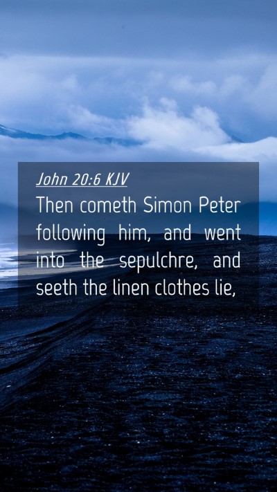 Picture 04 - John 20:6 KJV Mobile Phone Wallpaper - Then cometh Simon Peter following him, and went - Mobile Bible Verse Wallpaper