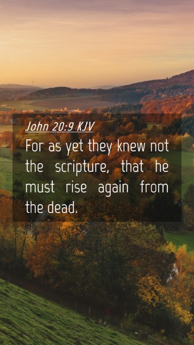 Picture 04 - John 20:9 KJV Mobile Phone Wallpaper - For as yet they knew not the scripture, that he - Mobile Bible Verse Wallpaper