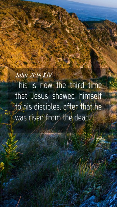 Picture 04 - John 21:14 KJV Mobile Phone Wallpaper - This is now the third time that Jesus shewed - Mobile Bible Verse Wallpaper