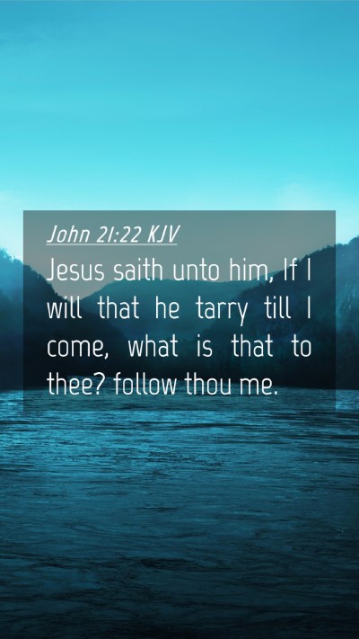 Picture 04 - John 21:22 KJV Mobile Phone Wallpaper - Jesus saith unto him, If I will that he tarry - Mobile Bible Verse Wallpaper