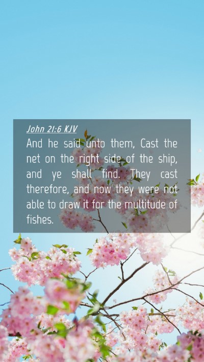 Picture 04 - John 21:6 KJV Mobile Phone Wallpaper - And he said unto them, Cast the net on the right - Mobile Bible Verse Wallpaper