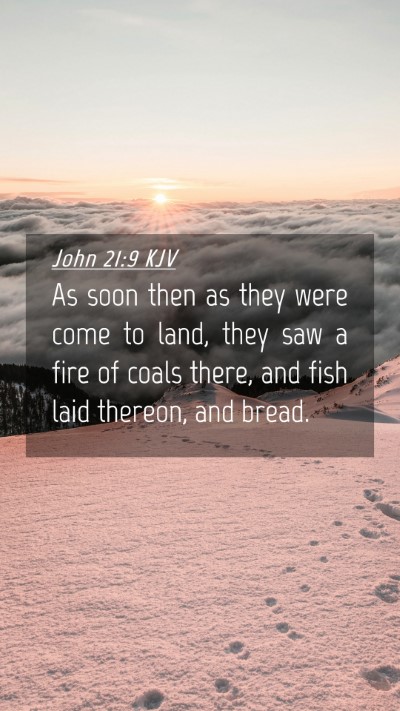 Picture 04 - John 21:9 KJV Mobile Phone Wallpaper - As soon then as they were come to land, they saw - Mobile Bible Verse Wallpaper