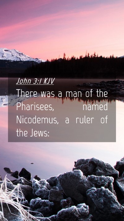 Picture 04 - John 3:1 KJV Mobile Phone Wallpaper - There was a man of the Pharisees, named - Mobile Bible Verse Wallpaper