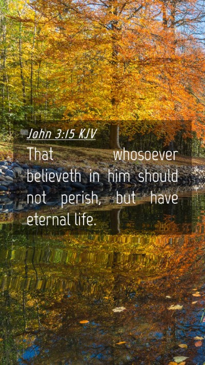 Picture 04 - John 3:15 KJV Mobile Phone Wallpaper - That whosoever believeth in him should not - Mobile Bible Verse Wallpaper