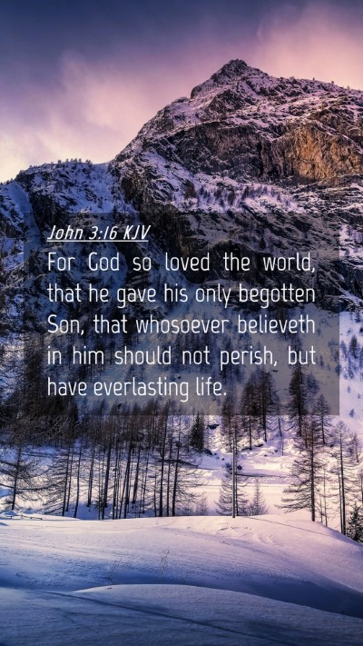 Picture 04 - John 3:16 KJV Mobile Phone Wallpaper - For God so loved the world, that he gave his only - Mobile Bible Verse Wallpaper