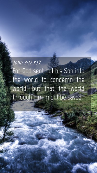 Picture 04 - John 3:17 KJV Mobile Phone Wallpaper - For God sent not his Son into the world to - Mobile Bible Verse Wallpaper