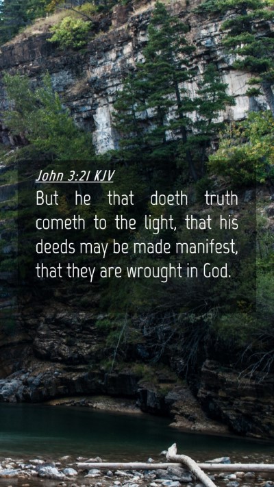 Picture 04 - John 3:21 KJV Mobile Phone Wallpaper - But he that doeth truth cometh to the light, that - Mobile Bible Verse Wallpaper