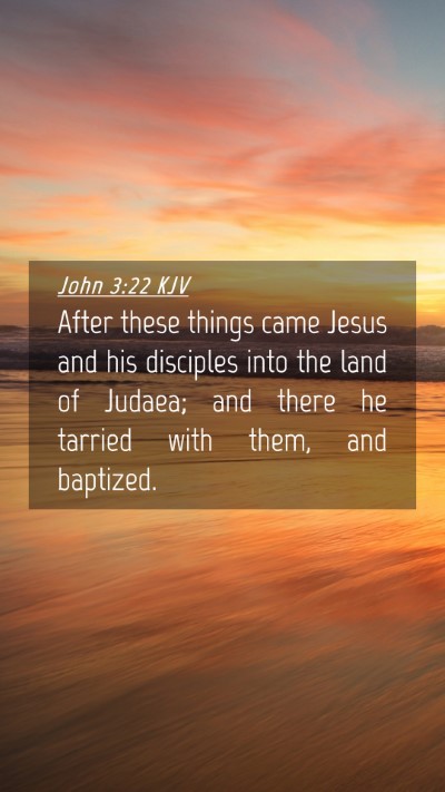 Picture 04 - John 3:22 KJV Mobile Phone Wallpaper - After these things came Jesus and his disciples - Mobile Bible Verse Wallpaper