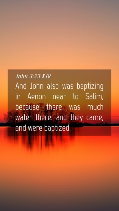 Picture 04 - John 3:23 KJV Mobile Phone Wallpaper - And John also was baptizing in Aenon near to - Mobile Bible Verse Wallpaper