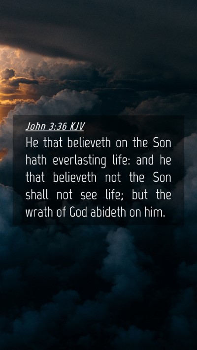 Picture 04 - John 3:36 KJV Mobile Phone Wallpaper - He that believeth on the Son hath everlasting - Mobile Bible Verse Wallpaper