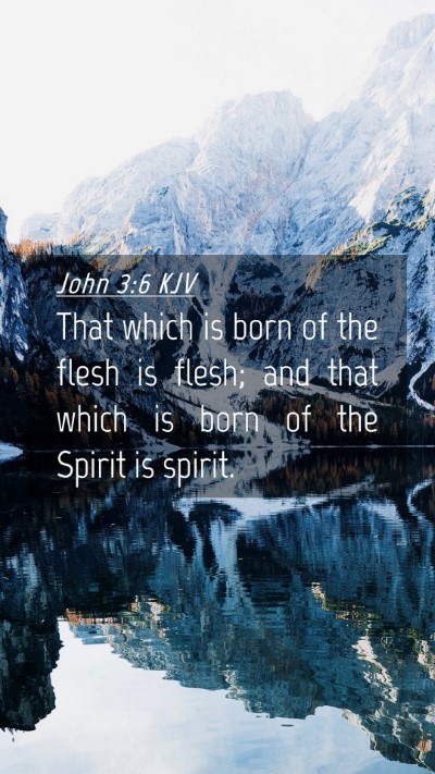Picture 04 - John 3:6 KJV Mobile Phone Wallpaper - That which is born of the flesh is flesh; and - Mobile Bible Verse Wallpaper