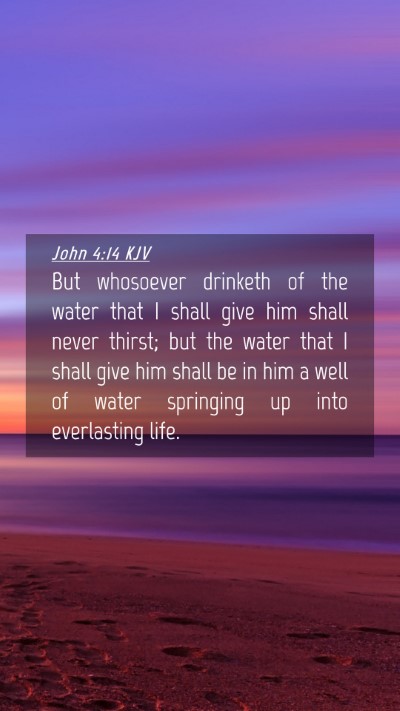 Picture 04 - John 4:14 KJV Mobile Phone Wallpaper - But whosoever drinketh of the water that I shall - Mobile Bible Verse Wallpaper