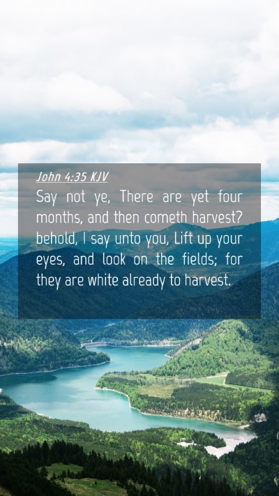 Picture 04 - John 4:35 KJV Mobile Phone Wallpaper - Say not ye, There are yet four months, and then - Mobile Bible Verse Wallpaper