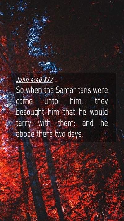 Picture 04 - John 4:40 KJV Mobile Phone Wallpaper - So when the Samaritans were come unto him, they - Mobile Bible Verse Wallpaper