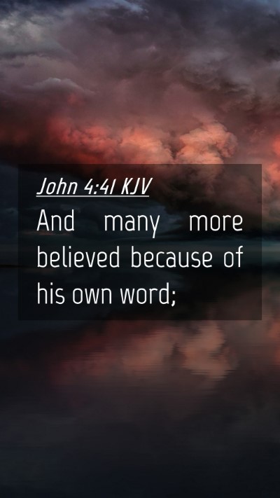 Picture 04 - John 4:41 KJV Mobile Phone Wallpaper - And many more believed because of his own - Mobile Bible Verse Wallpaper