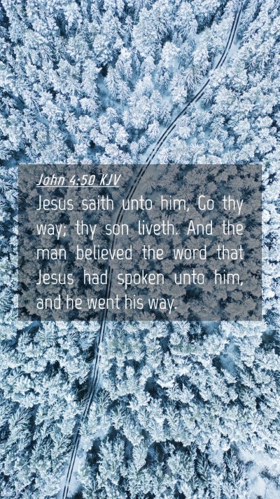 Picture 04 - John 4:50 KJV Mobile Phone Wallpaper - Jesus saith unto him, Go thy way; thy son liveth. - Mobile Bible Verse Wallpaper