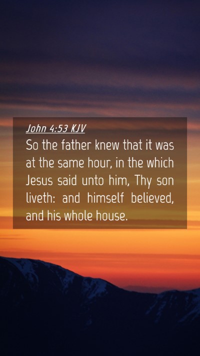 Picture 04 - John 4:53 KJV Mobile Phone Wallpaper - So the father knew that it was at the same hour, - Mobile Bible Verse Wallpaper