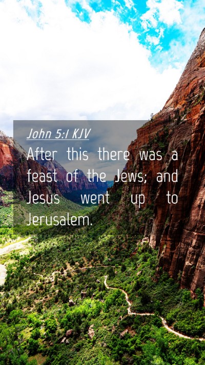 Picture 04 - John 5:1 KJV Mobile Phone Wallpaper - After this there was a feast of the Jews; and - Mobile Bible Verse Wallpaper