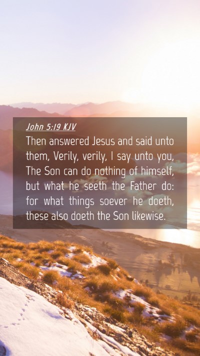 Picture 04 - John 5:19 KJV Mobile Phone Wallpaper - Then answered Jesus and said unto them, Verily, - Mobile Bible Verse Wallpaper