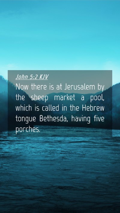 Picture 04 - John 5:2 KJV Mobile Phone Wallpaper - Now there is at Jerusalem by the sheep market a - Mobile Bible Verse Wallpaper