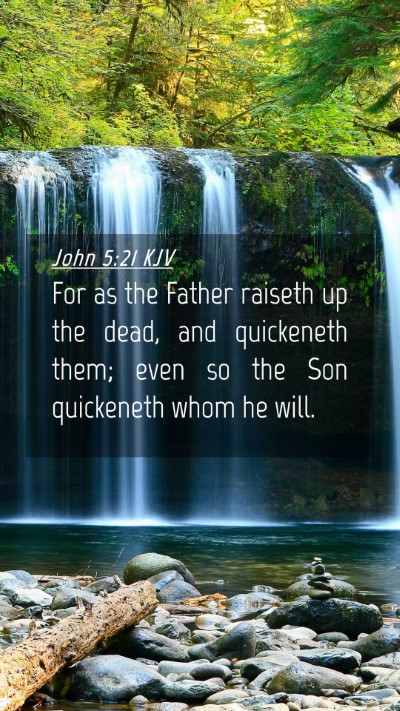 Picture 04 - John 5:21 KJV Mobile Phone Wallpaper - For as the Father raiseth up the dead, and - Mobile Bible Verse Wallpaper