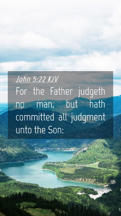 Picture 04 - John 5:22 KJV Mobile Phone Wallpaper - For the Father judgeth no man, but hath committed - Mobile Bible Verse Wallpaper
