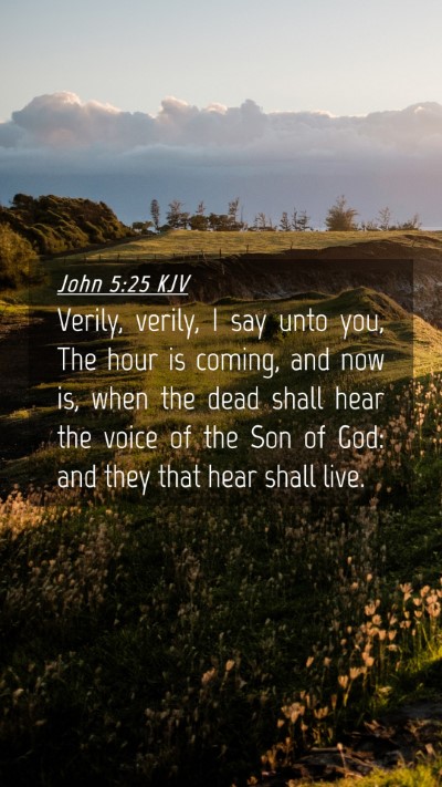 Picture 04 - John 5:25 KJV Mobile Phone Wallpaper - Verily, verily, I say unto you, The hour is - Mobile Bible Verse Wallpaper