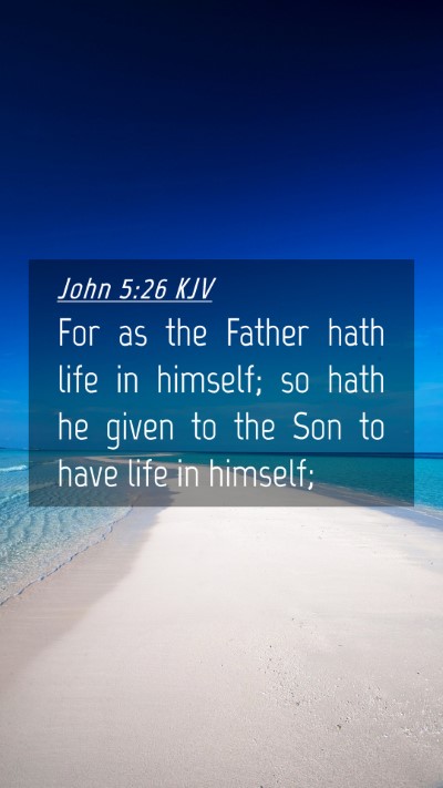 Picture 04 - John 5:26 KJV Mobile Phone Wallpaper - For as the Father hath life in himself; so hath - Mobile Bible Verse Wallpaper