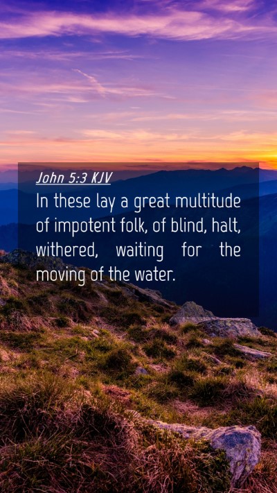 Picture 04 - John 5:3 KJV Mobile Phone Wallpaper - In these lay a great multitude of impotent folk, - Mobile Bible Verse Wallpaper
