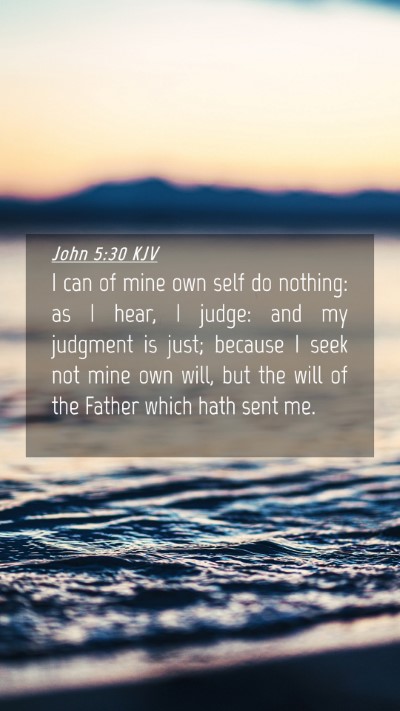 Picture 04 - John 5:30 KJV Mobile Phone Wallpaper - I can of mine own self do nothing: as I hear, I - Mobile Bible Verse Wallpaper