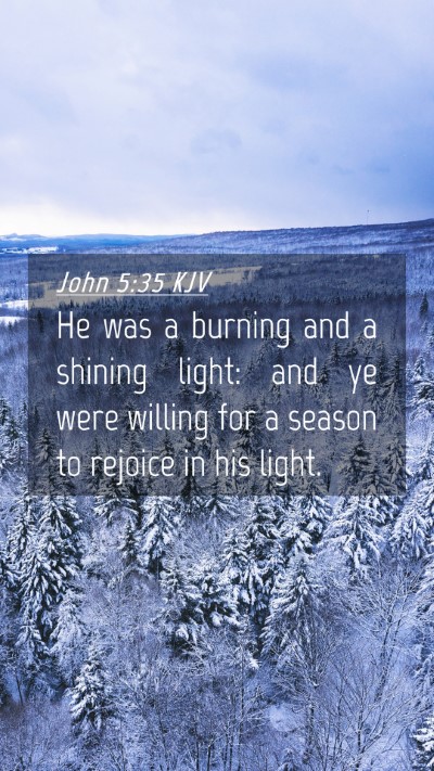 Picture 04 - John 5:35 KJV Mobile Phone Wallpaper - He was a burning and a shining light: and ye were - Mobile Bible Verse Wallpaper