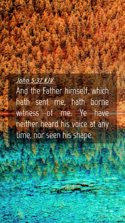 Picture 04 - John 5:37 KJV Mobile Phone Wallpaper - And the Father himself, which hath sent me, hath - Mobile Bible Verse Wallpaper