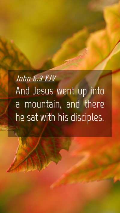 Picture 04 - John 6:3 KJV Mobile Phone Wallpaper - And Jesus went up into a mountain, and there he - Mobile Bible Verse Wallpaper