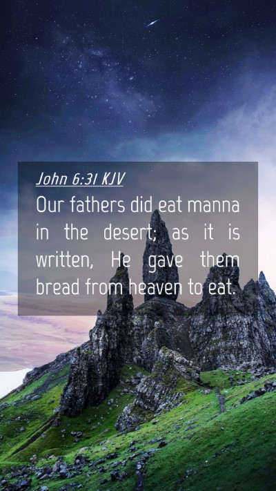 Picture 04 - John 6:31 KJV Mobile Phone Wallpaper - Our fathers did eat manna in the desert; as it is - Mobile Bible Verse Wallpaper