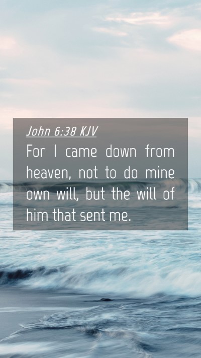 Picture 04 - John 6:38 KJV Mobile Phone Wallpaper - For I came down from heaven, not to do mine own - Mobile Bible Verse Wallpaper