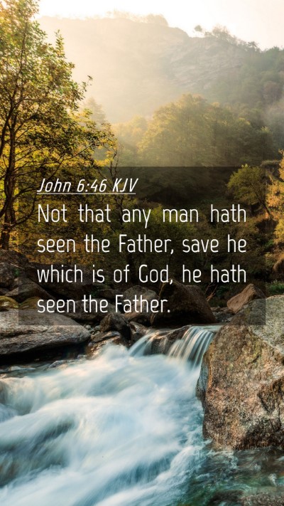 Picture 04 - John 6:46 KJV Mobile Phone Wallpaper - Not that any man hath seen the Father, save he - Mobile Bible Verse Wallpaper
