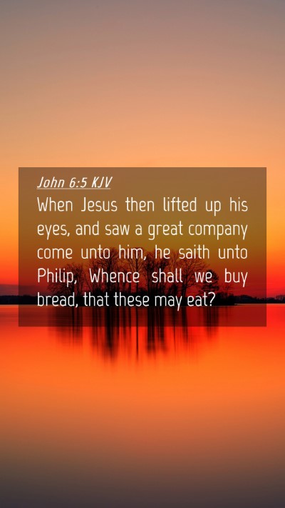 Picture 04 - John 6:5 KJV Mobile Phone Wallpaper - When Jesus then lifted up his eyes, and saw a - Mobile Bible Verse Wallpaper