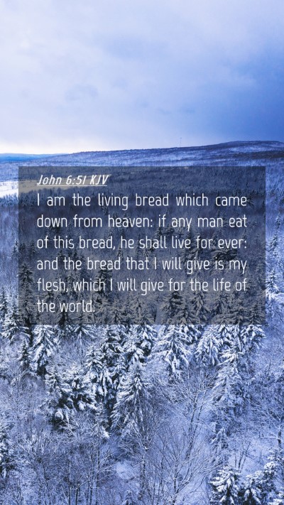 Picture 04 - John 6:51 KJV Mobile Phone Wallpaper - I am the living bread which came down from - Mobile Bible Verse Wallpaper