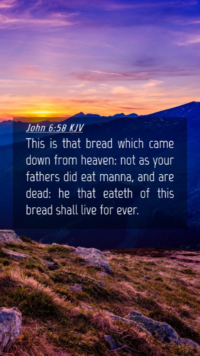 Picture 04 - John 6:58 KJV Mobile Phone Wallpaper - This is that bread which came down from heaven: - Mobile Bible Verse Wallpaper